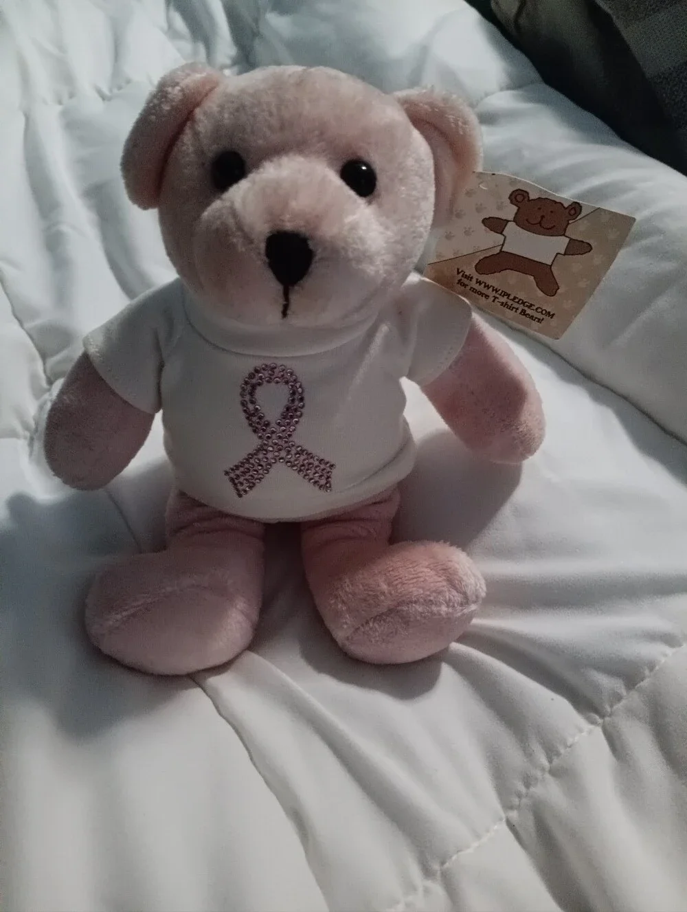 NWT USPS BREAST CANCER BEAR WITH POSTAGE STAMP ON BACK. WITH PINK JEWELS.
